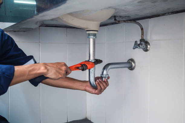 Best Plumbing Inspection Services  in Pingree Grove, IL