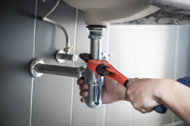 Best Clogged Drain Plumber  in Pingree Grove, IL