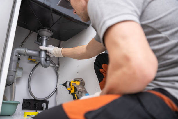 Best Residential Plumbing Services  in Pingree Grove, IL